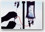 euthanasie - 2
