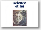 Vignette_DSF