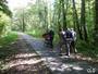 famille-foret.jpg