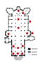 plan_cathedrale