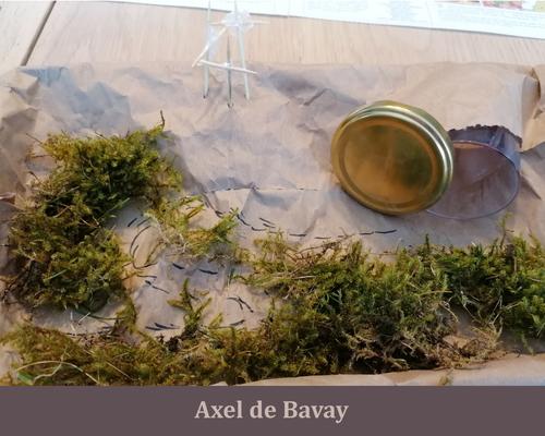 Jardin_Paques_2021 axel
