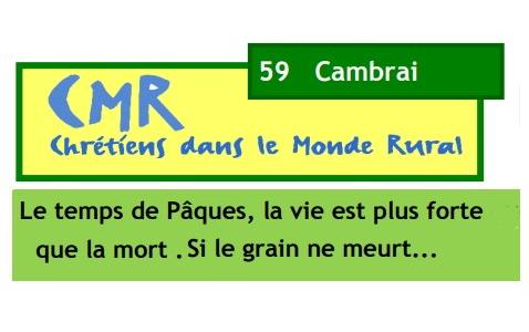 vignette-nl-cmr