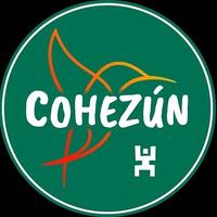 cohezun-logo