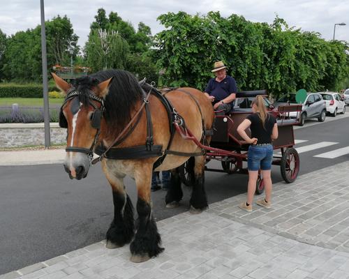 Faites des peres (20)