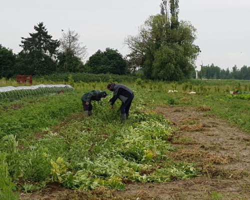 2021.06.23-visite-pastorale-solidarite 4