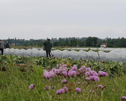 2021.06.23-visite-pastorale-solidarite 5