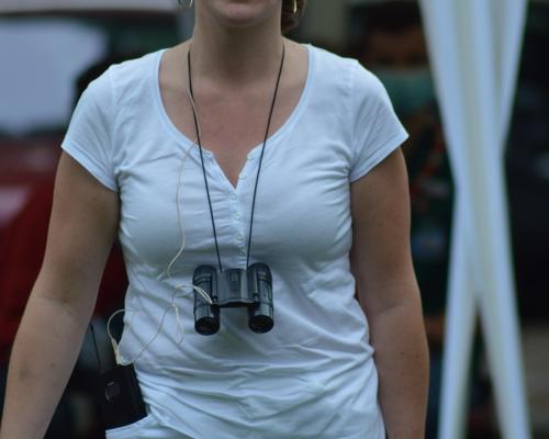 11 juillet spectacle 38