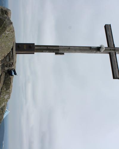 IMG_5439