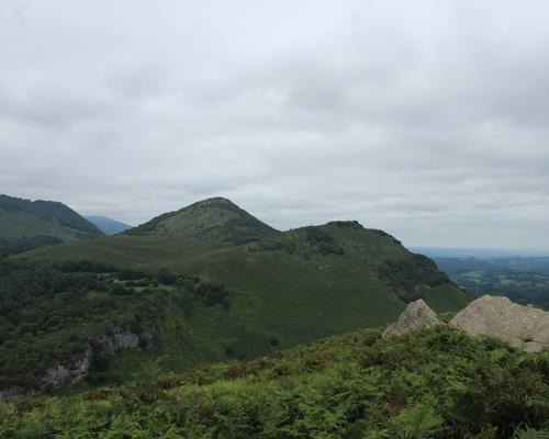 IMG_5455