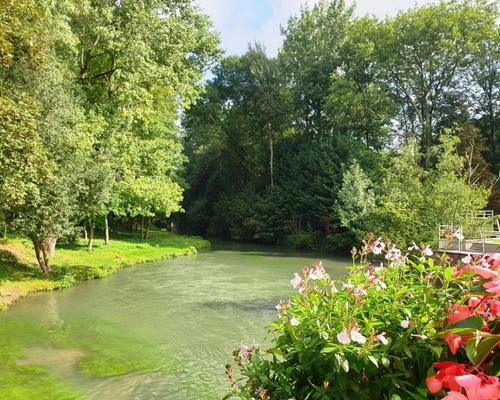Moulin Proville comp