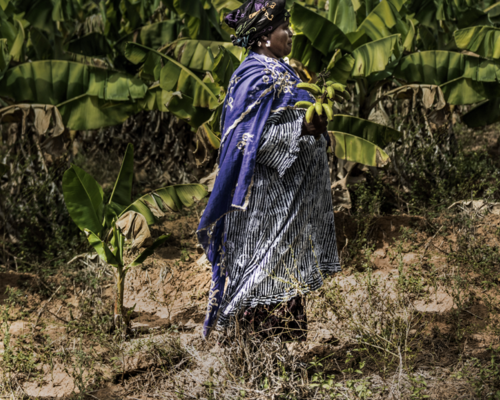 souverainete alimentaire