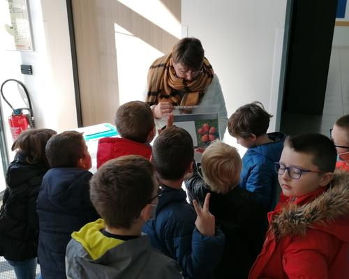 kt+ laudato si (36)