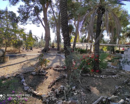 Jardin maison d'Abraham