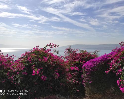 Mont des beatitudes