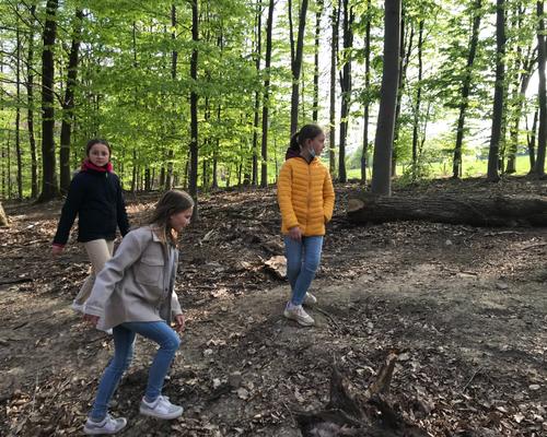 Banneux SteAnne Foret (15)