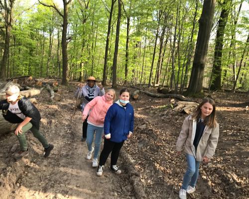 Banneux SteAnne Foret (16)