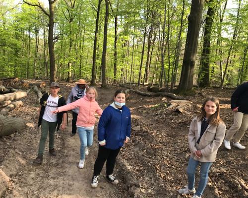 Banneux SteAnne Foret (22)
