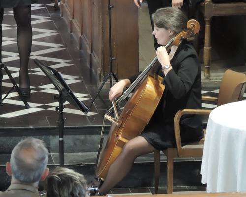 Concert Collegiale Il rinovo (5)