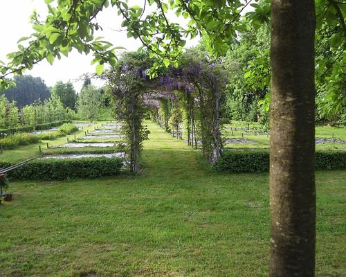 parc glycines 2