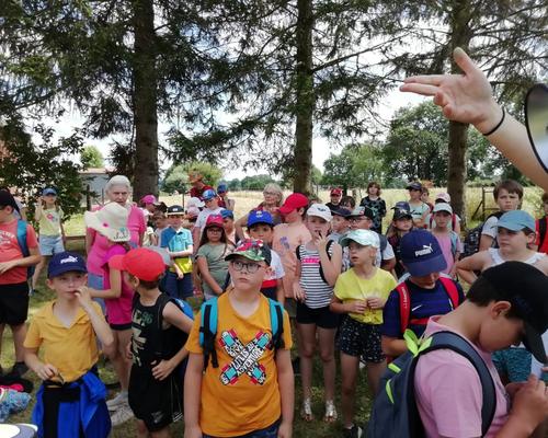 festi'cate Sainte-Anne 2022 (40)