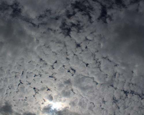 IMG_1396