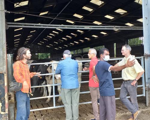 Visite Terre de Sens Bermeries_ les vaches laitier