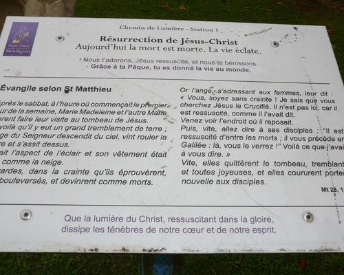 montligeon 50