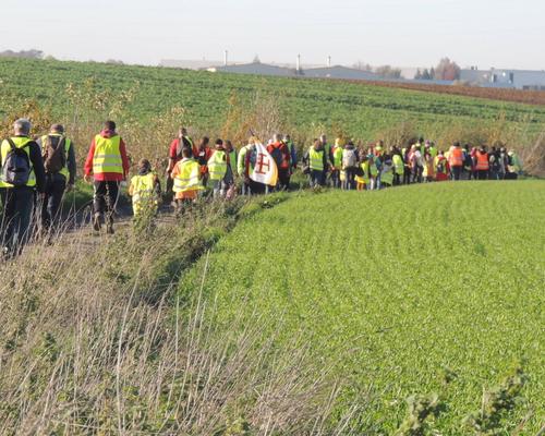 MARCHE STE MAXELLENDE 15