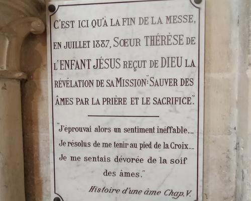 Pele cate Sainte-Anne Lisieux avril 2023 (16)