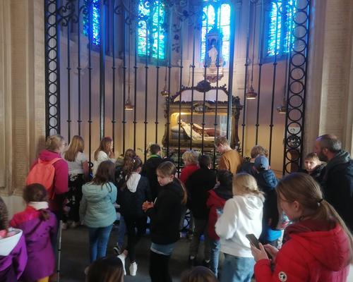 Pele cate Sainte-Anne Lisieux avril 2023 (24)