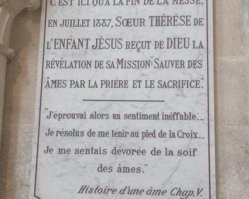 Pele cate Sainte-Anne Lisieux avril 2023 (29)