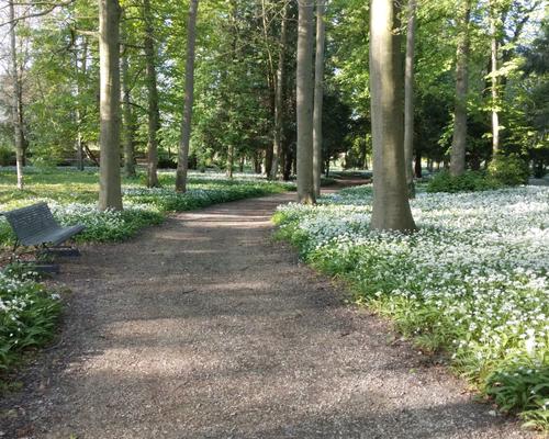 allee ail des ours