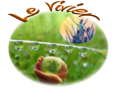 vivier logo