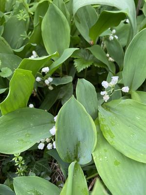 photo_1 (28)