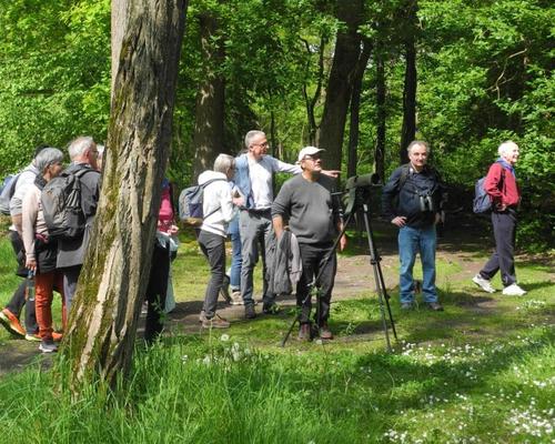marche spi St Eloi de la Rhonelle (12)