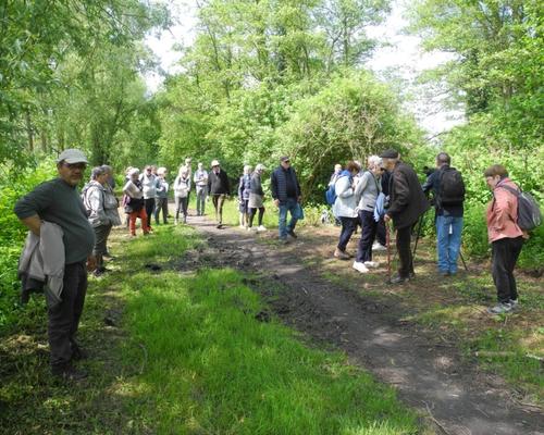 marche spi St Eloi de la Rhonelle (13)