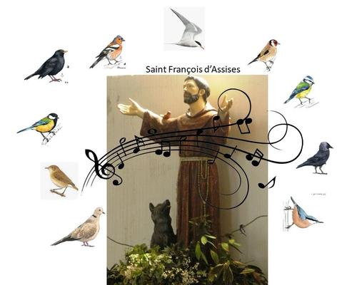 St Francois et oiseaux