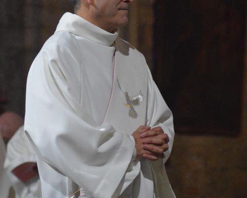 Ordination Santos 44