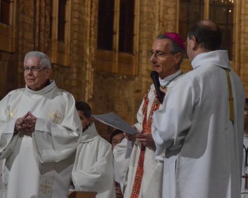 Ordination Santos 45