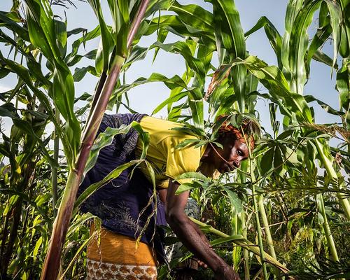 Reportage de William Dupuy a Sake (Nord Kivu)