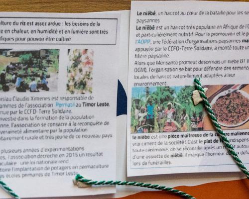photo P DescampsRaismes journee diocesaine 1 fev 2
