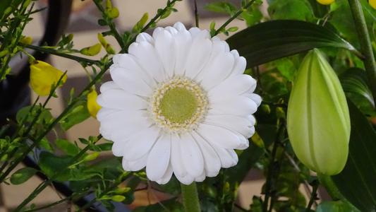 DSC04464