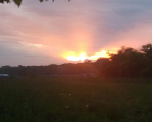 IMG-20250423-WA0021