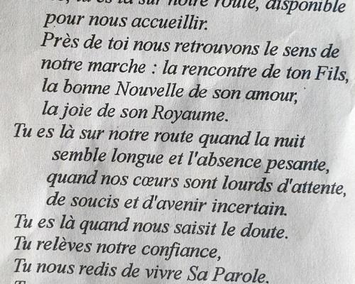 Pont sur Sambre  (31)