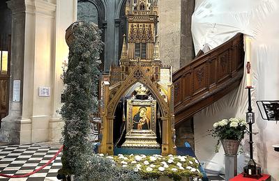 Image Actualité