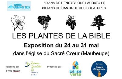 Image Actualité