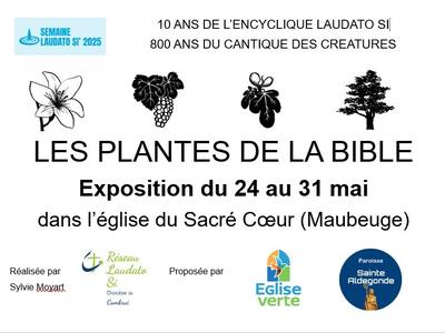 Affiche expo plantes