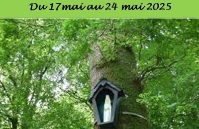 Image Actualité