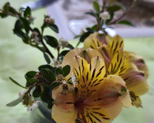 IMG-20250526-WA0069