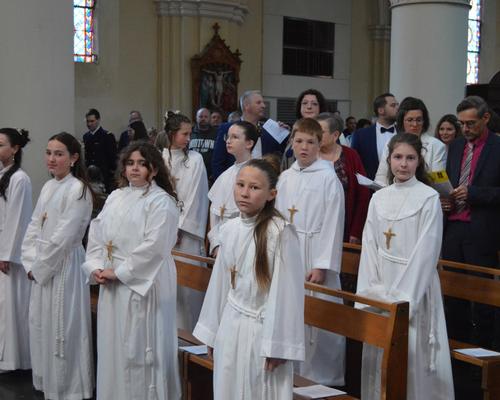 DSC_3290 - Copie